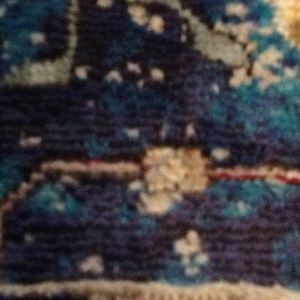 Meet your Posher, Robbie